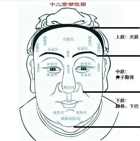 富貴面相男|男人的十種富貴面相，面相學